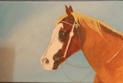 Img_20250517_195722