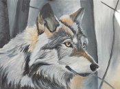 Img_20240513_213131