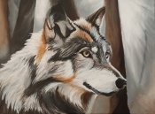 Img_20240520_074236
