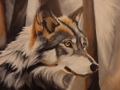 Img_20240524_131227