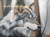 Img_20240530_174144-kopie