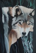 Img_20240104_221113